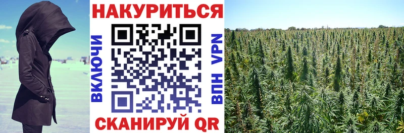 Купить закладки  Олонец  Канабис марихуана 